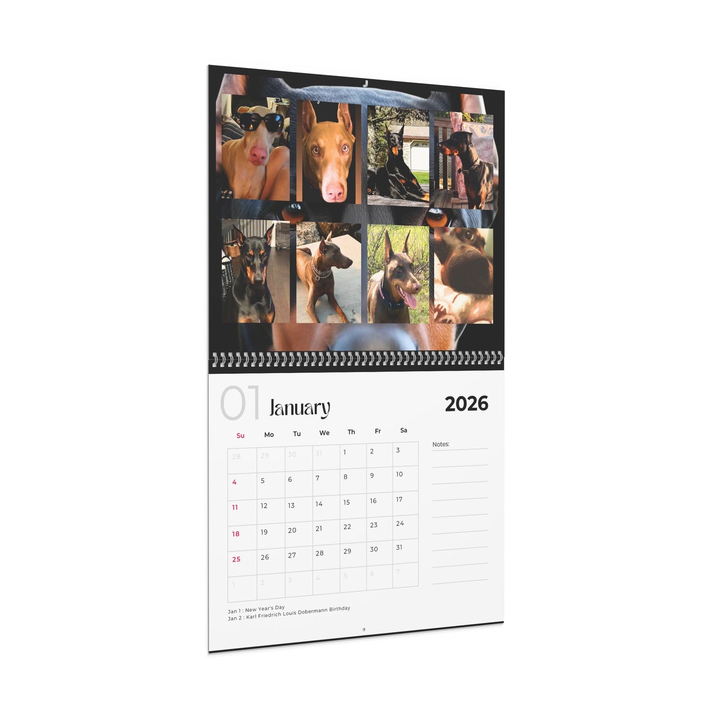 Edition 2 2026 Doberman Calendars