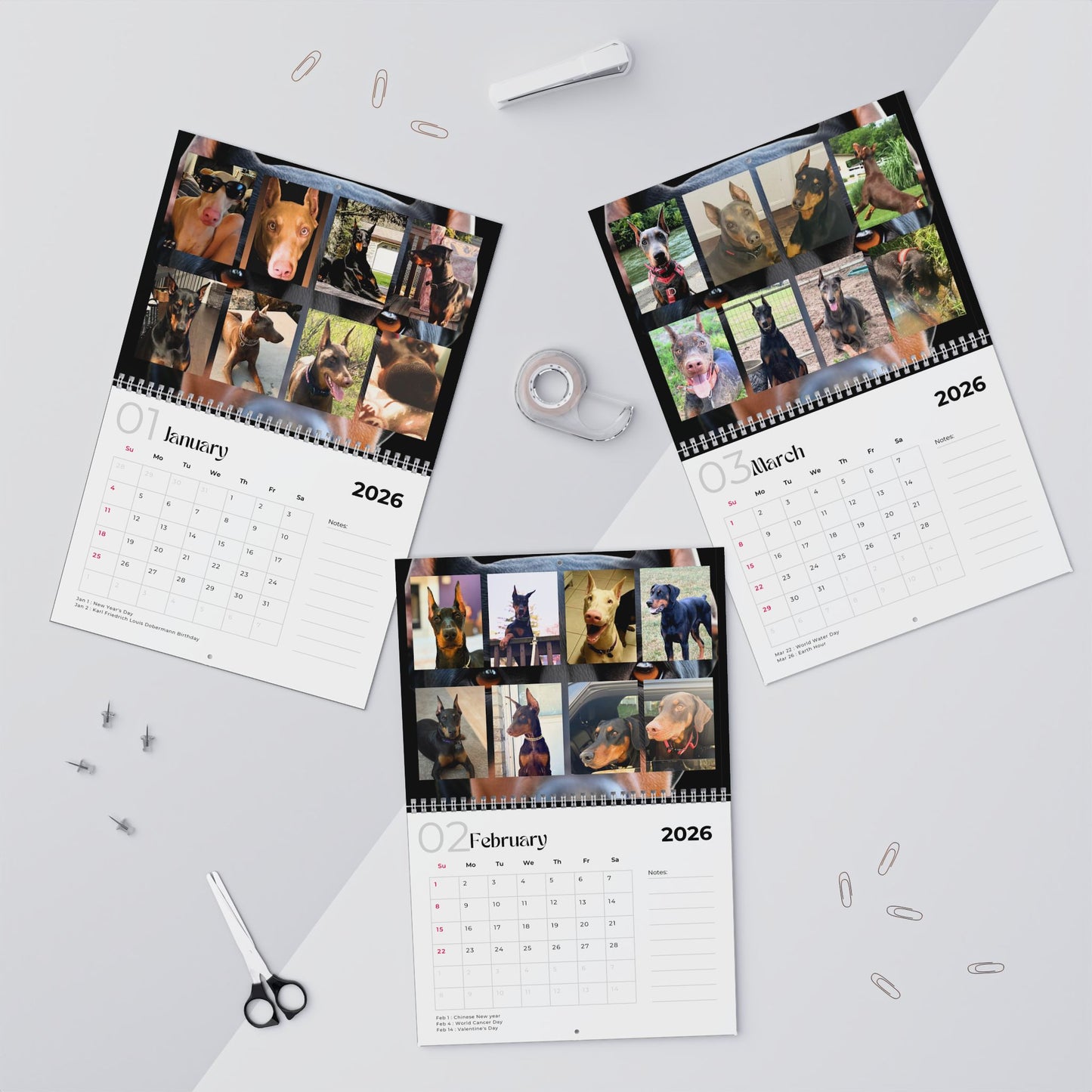 Edition 2 2026 Doberman Calendars