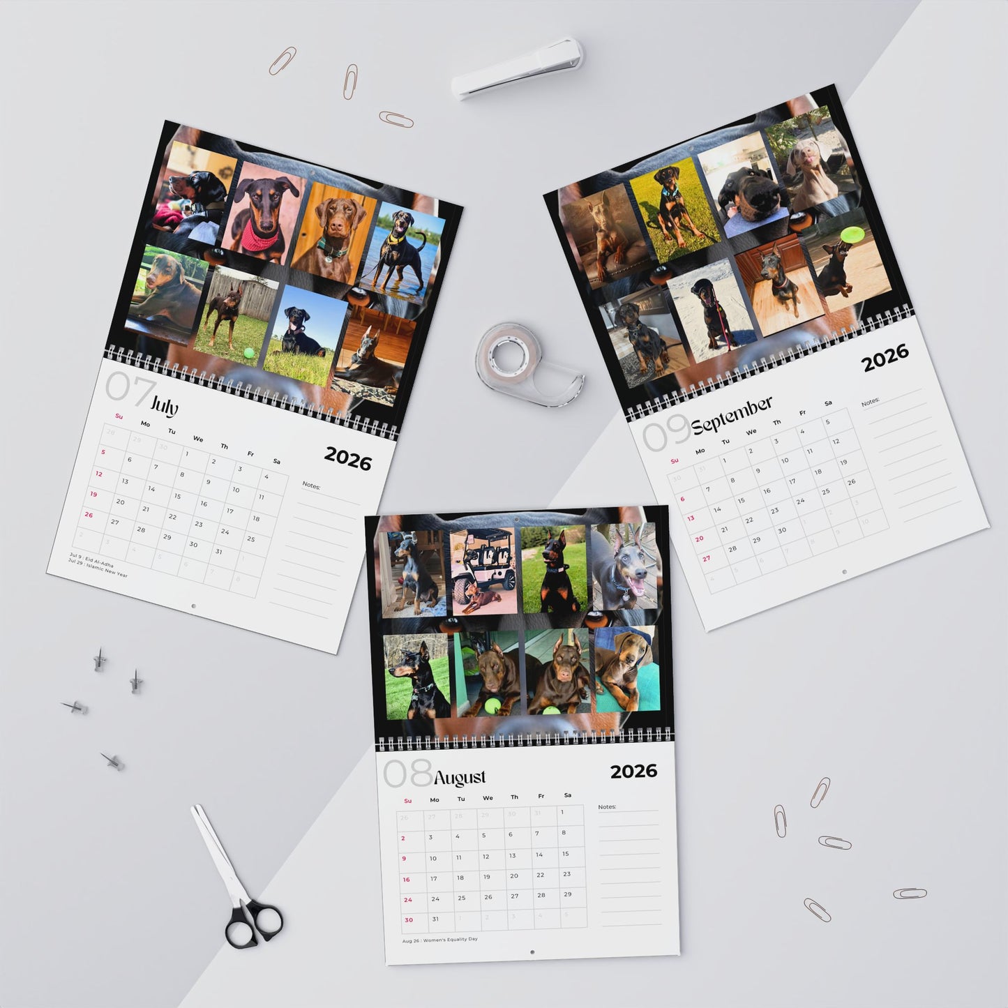 Edition 1 2026 Doberman Calendars