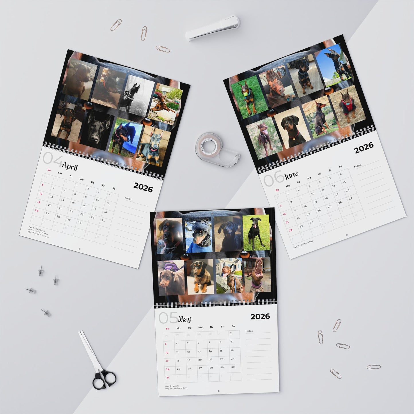 Edition 2 2026 Doberman Calendars