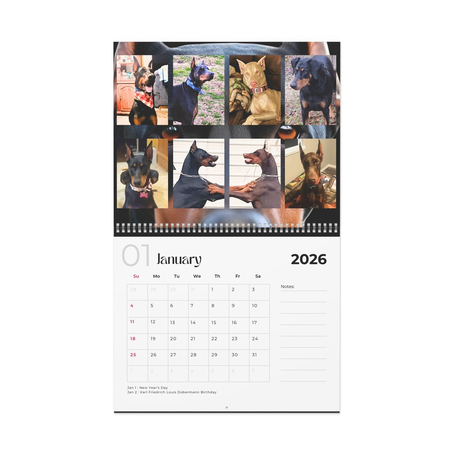 Edition 1 2026 Doberman Calendars