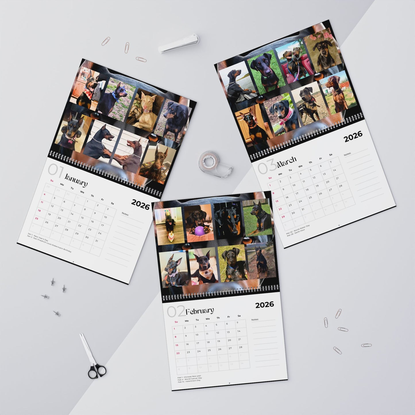 Edition 1 2026 Doberman Calendars