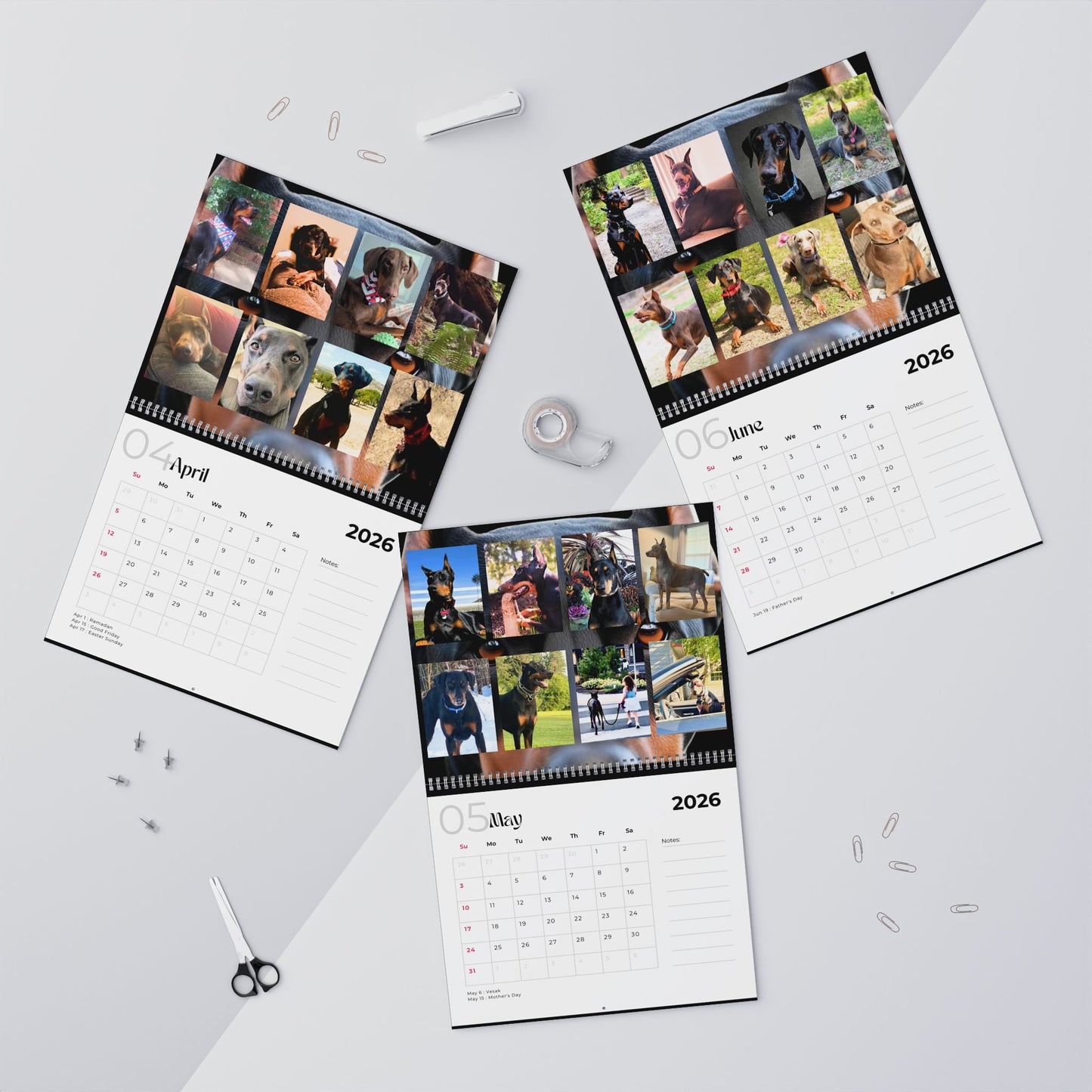 Edition 1 2026 Doberman Calendars