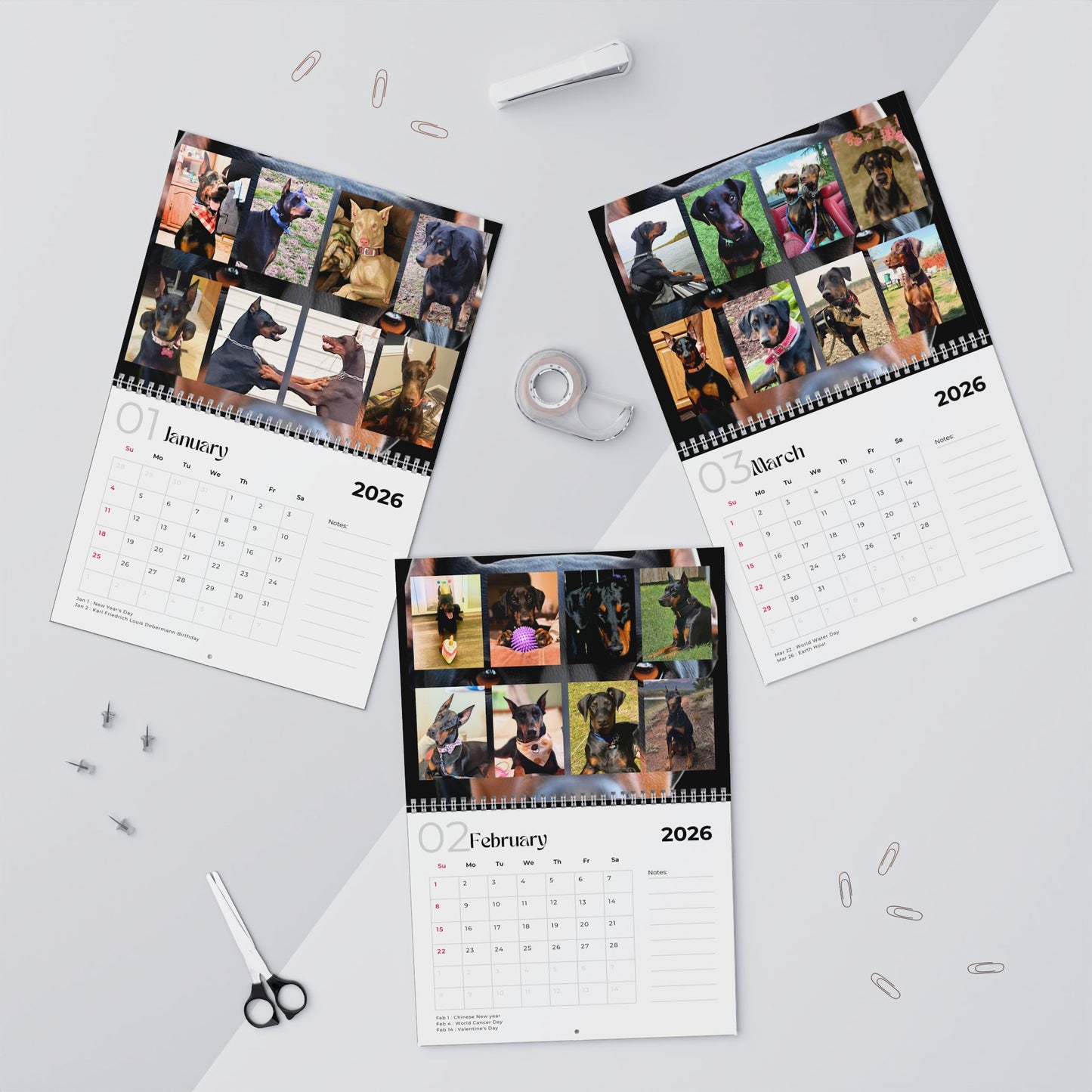 Edition 1 2026 Doberman Calendars