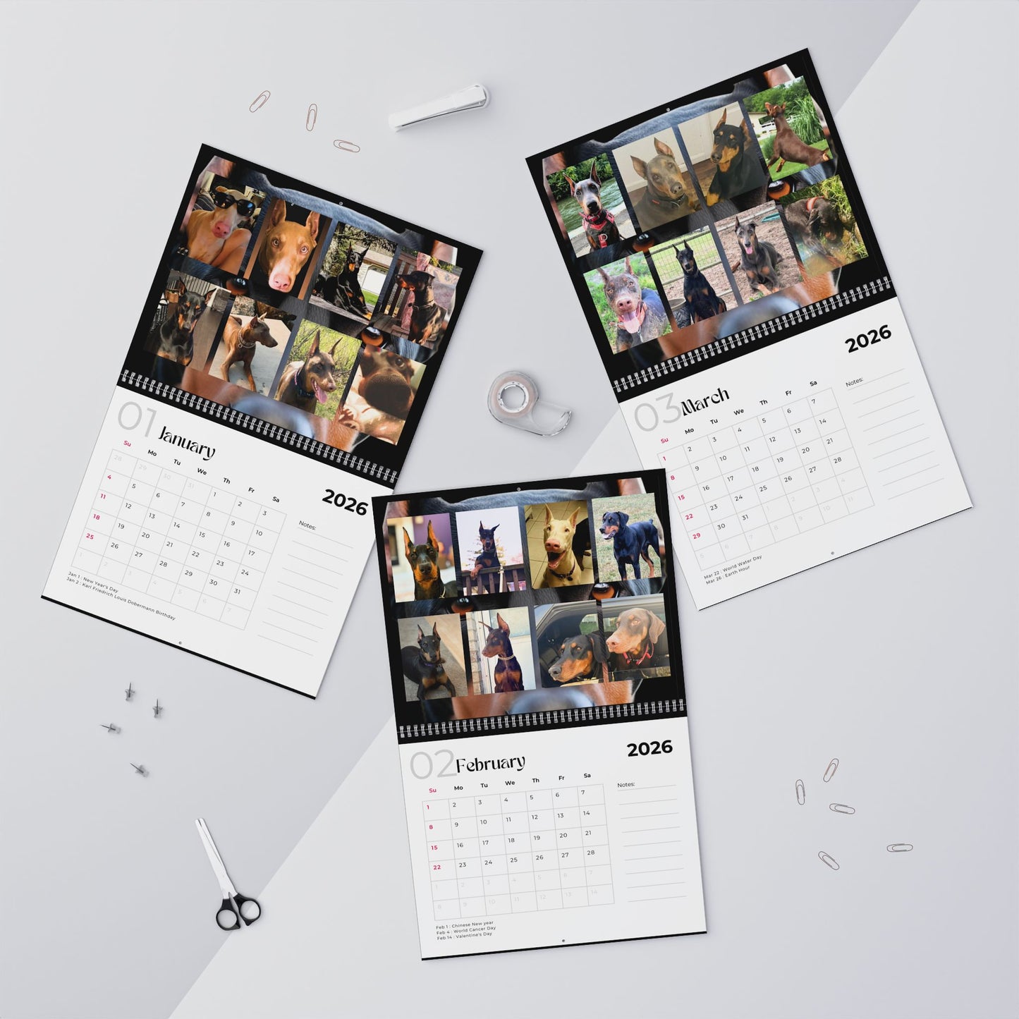 Edition 2 2026 Doberman Calendars