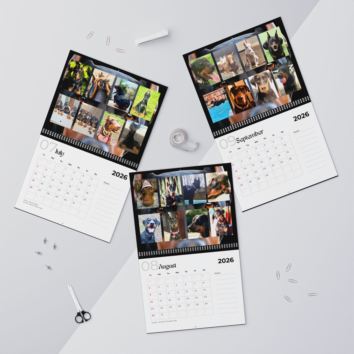 Edition 2 2026 Doberman Calendars