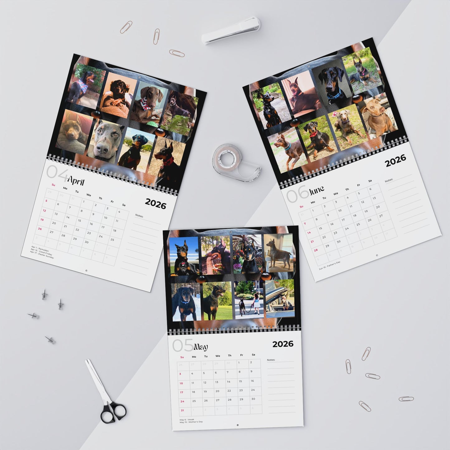 Edition 1 2026 Doberman Calendars