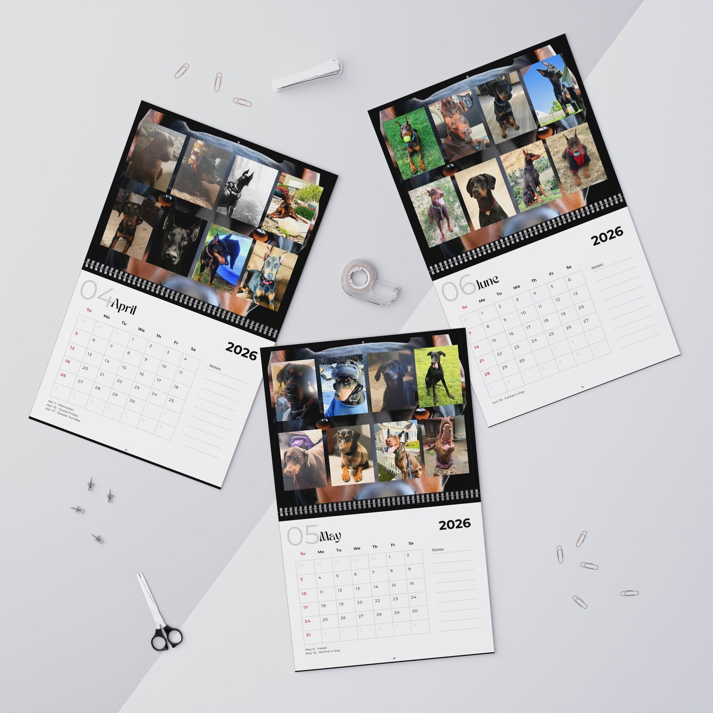 Edition 2 2026 Doberman Calendars