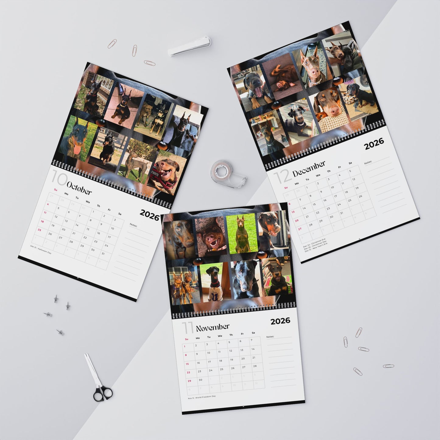 Edition 1 2026 Doberman Calendars