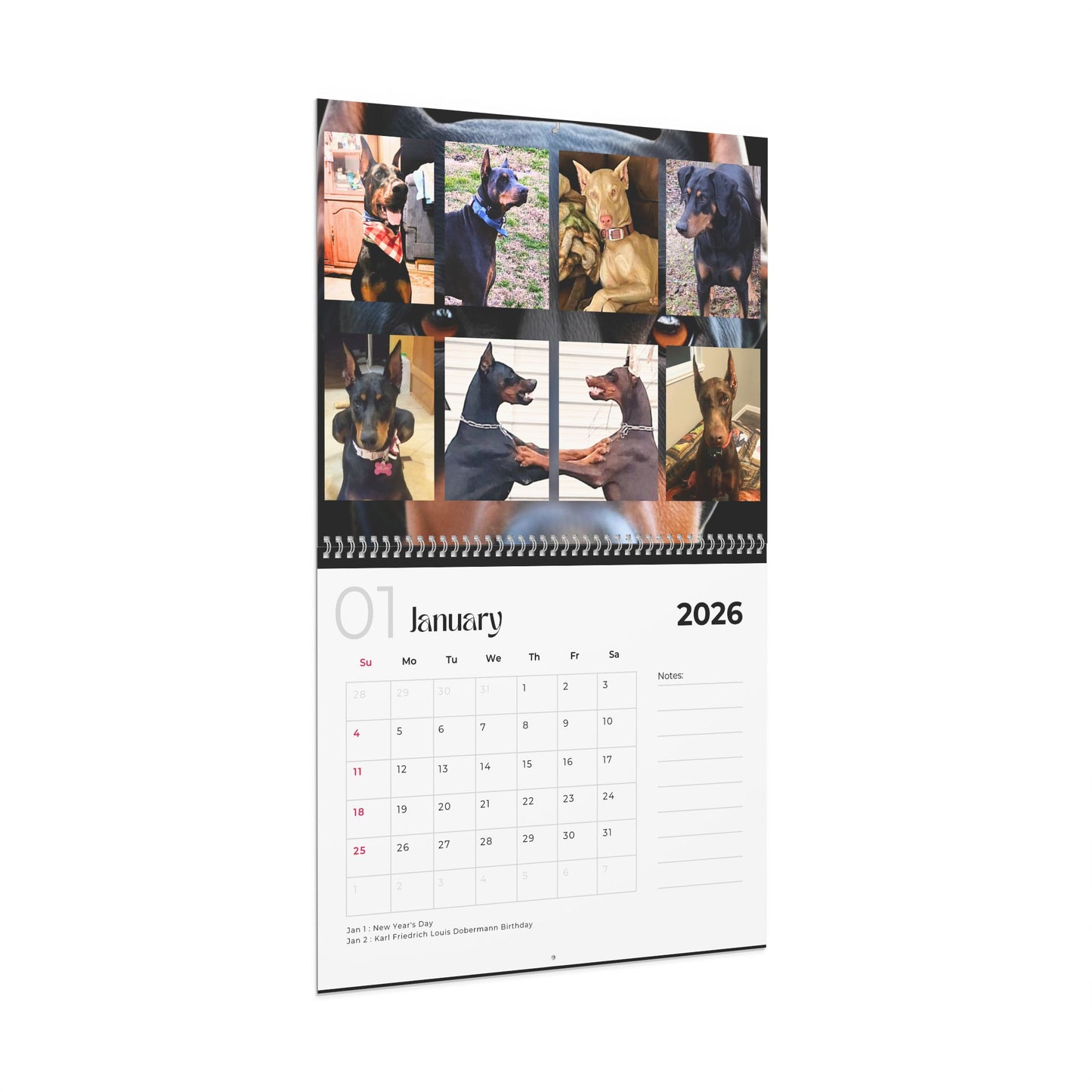 Edition 1 2026 Doberman Calendars