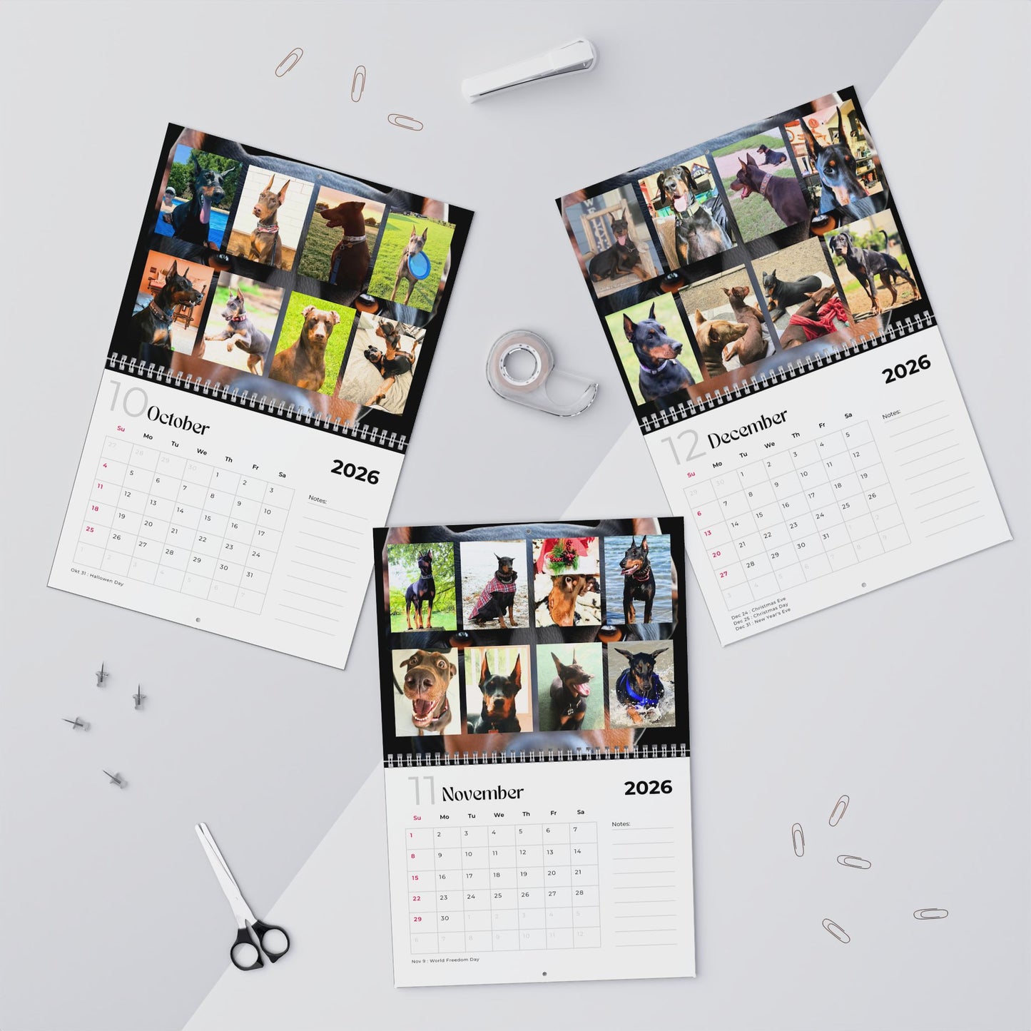 Edition 2 2026 Doberman Calendars