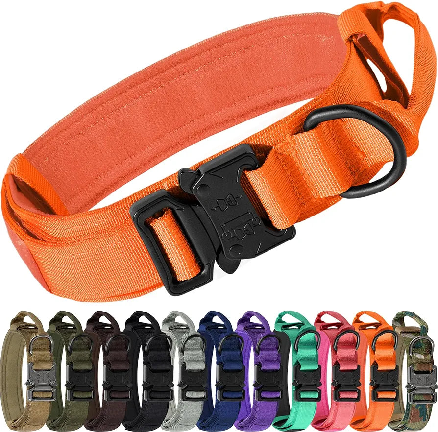 Tactical Collar with Handle & Audio Training Guide Combo