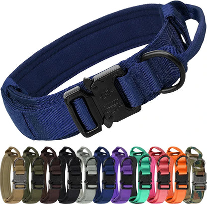 Tactical Collar with Handle & Audio Training Guide Combo