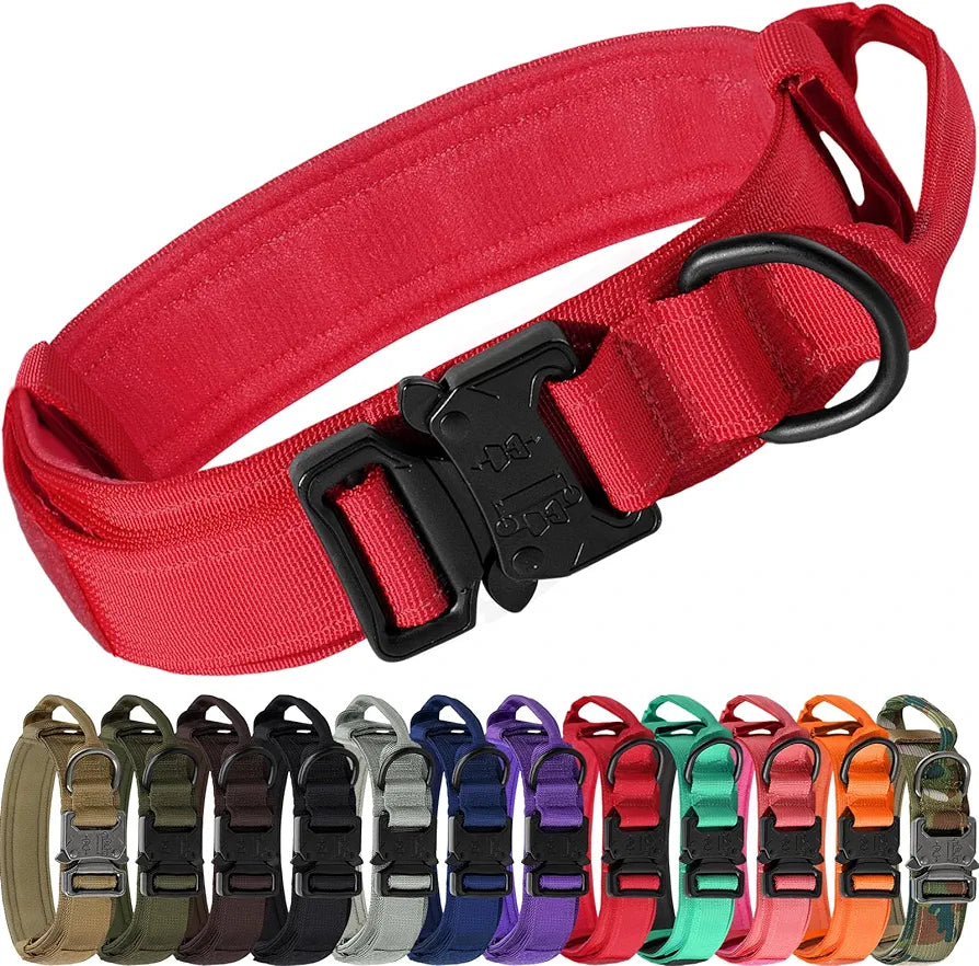 Tactical Collar with Handle & Audio Training Guide Combo