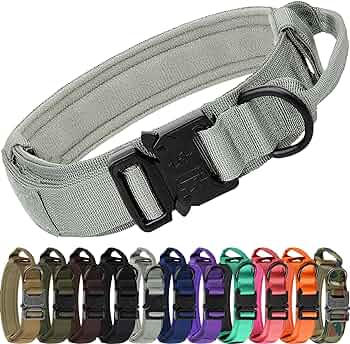 Tactical Collar with Handle & Audio Training Guide Combo