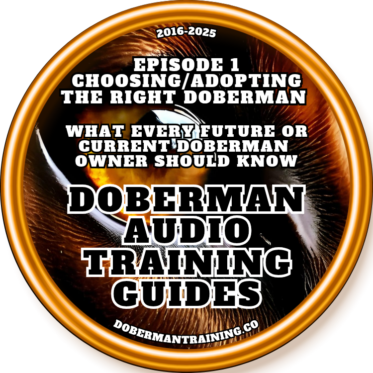 2025 Doberman Audio Training Guides 5.0