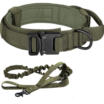 Tactical Collar, Leash & Audio Training Guides