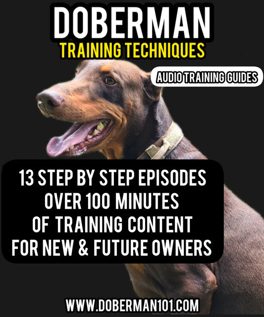 13 Episode Audio Training Guide on Doberman Basic Obedience
