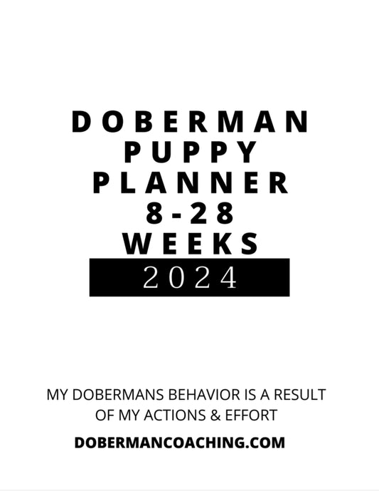 Puppy Training Planner & Calendar 2024