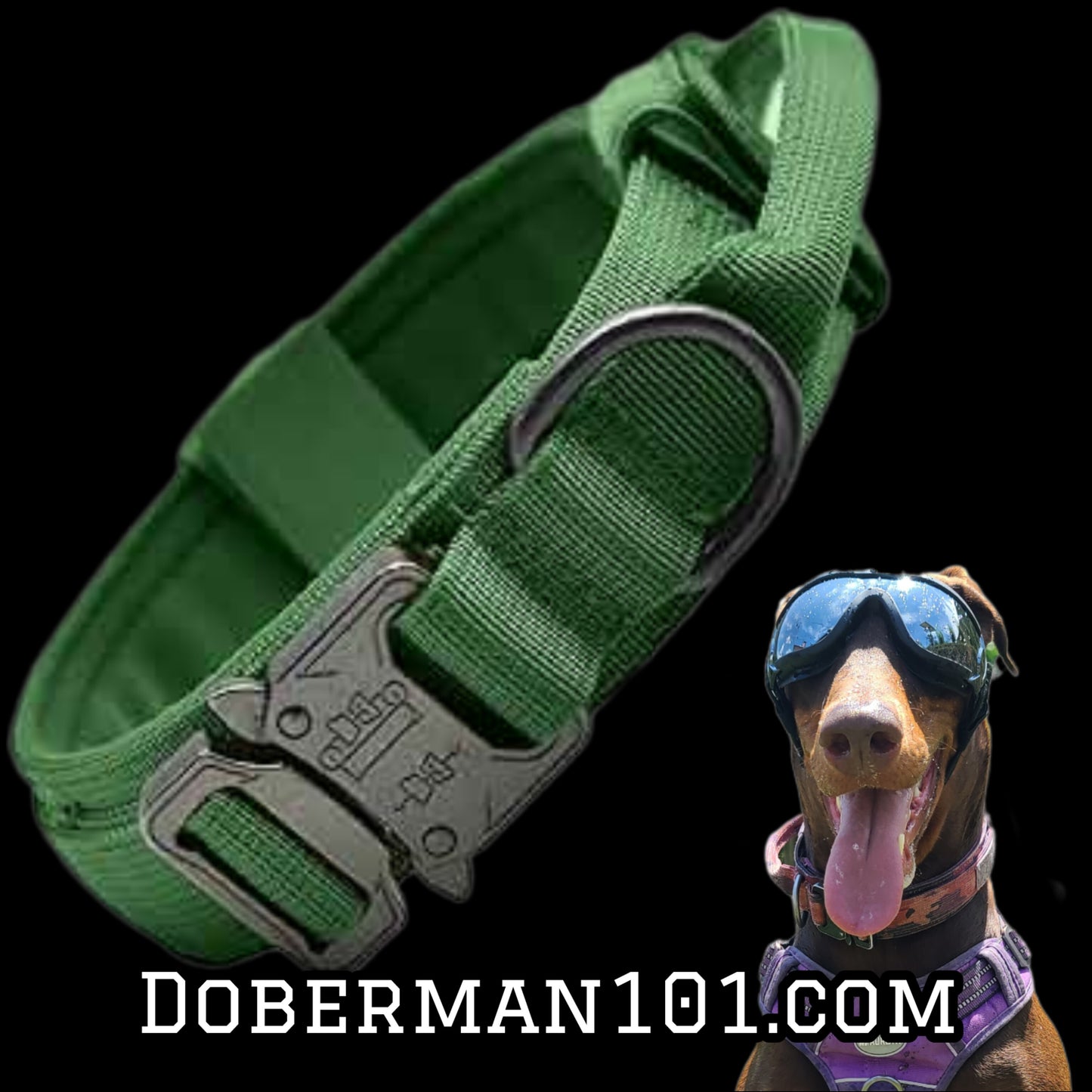 Tactical Collar