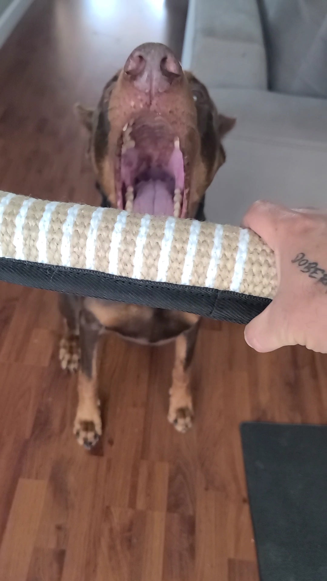 Bite Control Bite Pad