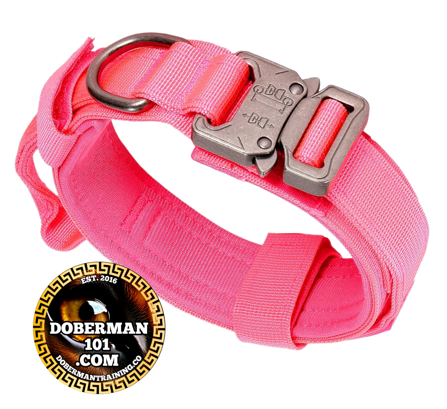 Tactical Collar, Audio Training Guides & Coaching Combo