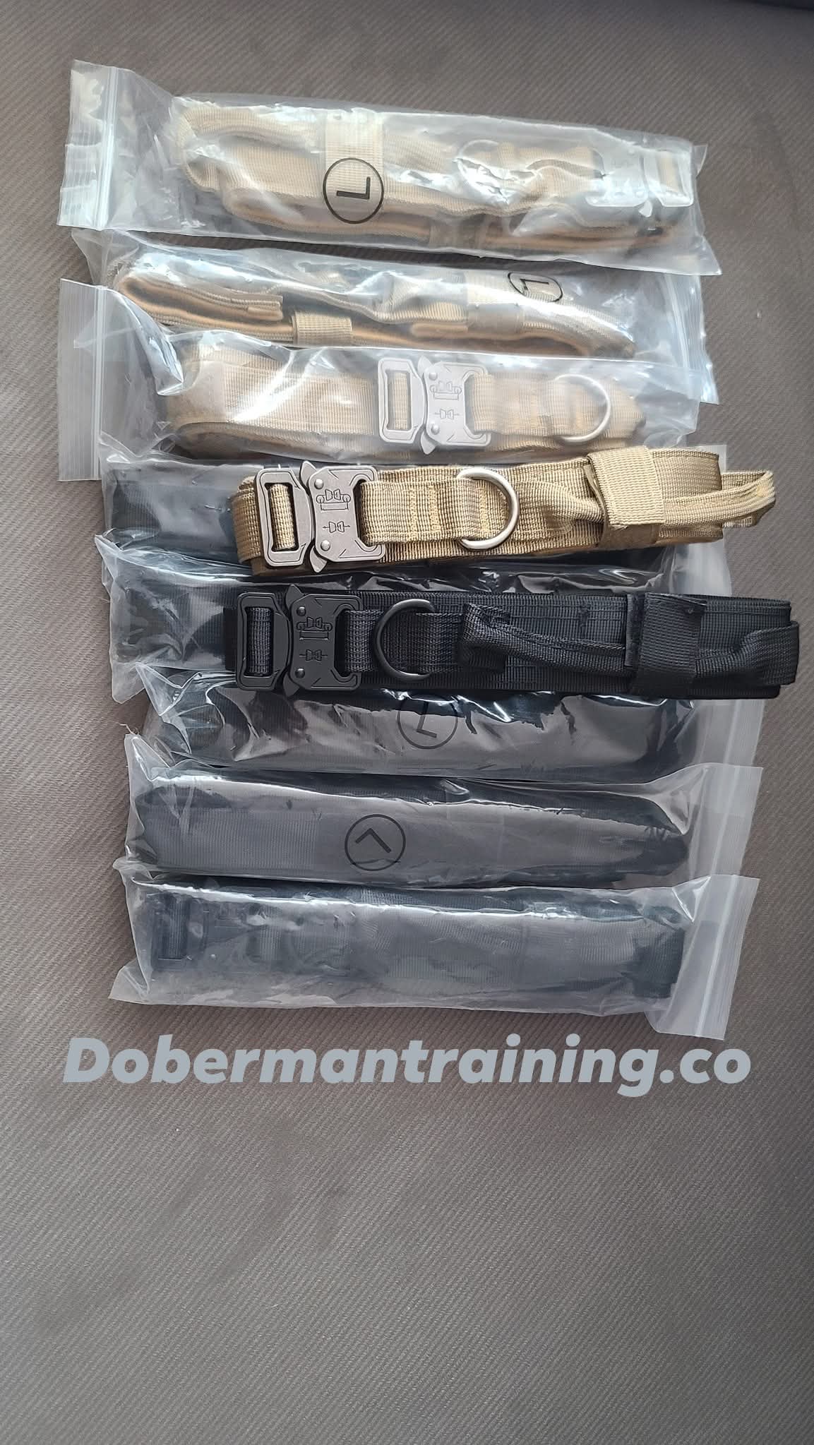 Tactical Collar, Audio Training Guides & Coaching Combo