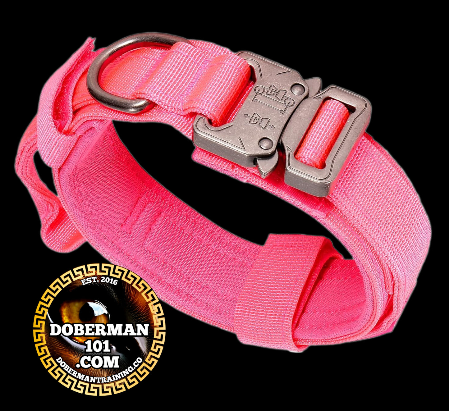 Tactical Collar, Audio Training Guides & Coaching Combo