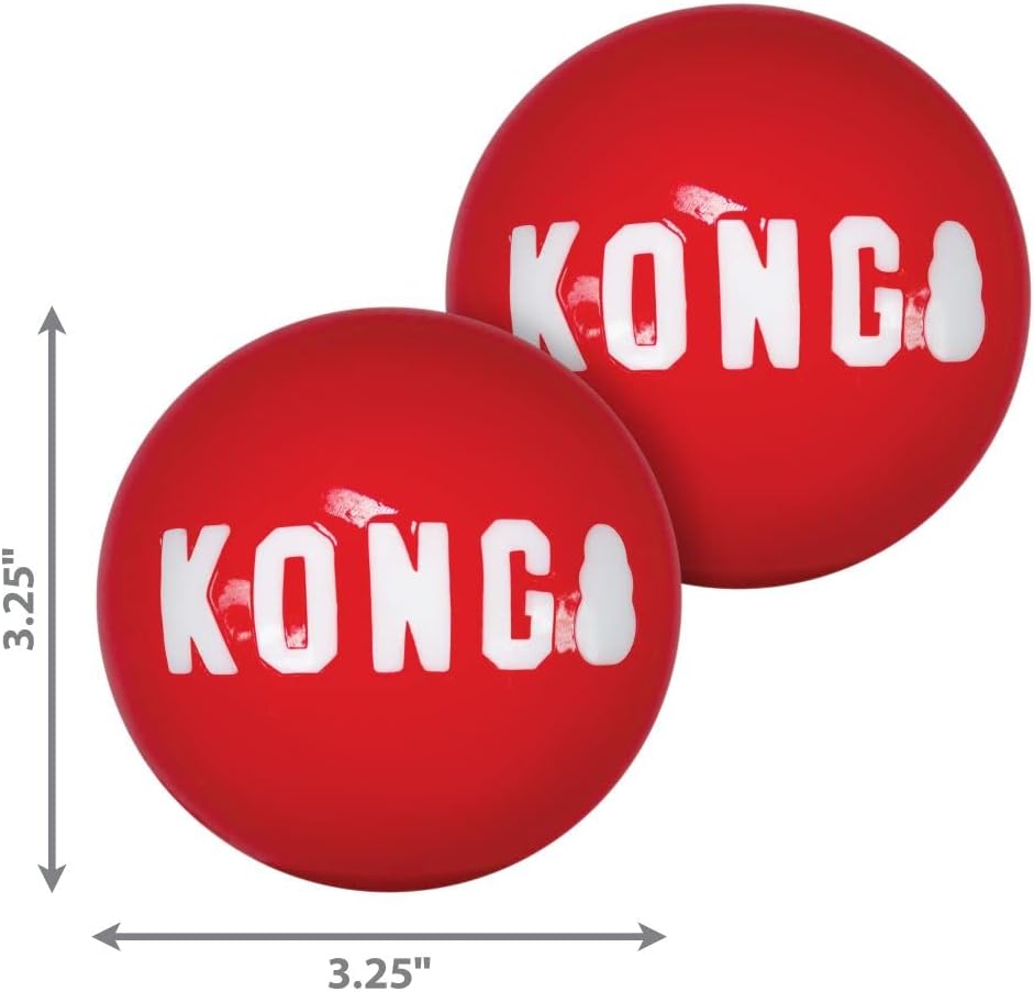 Kong, Audio Guides, 1 Month Coaching Pass Combo