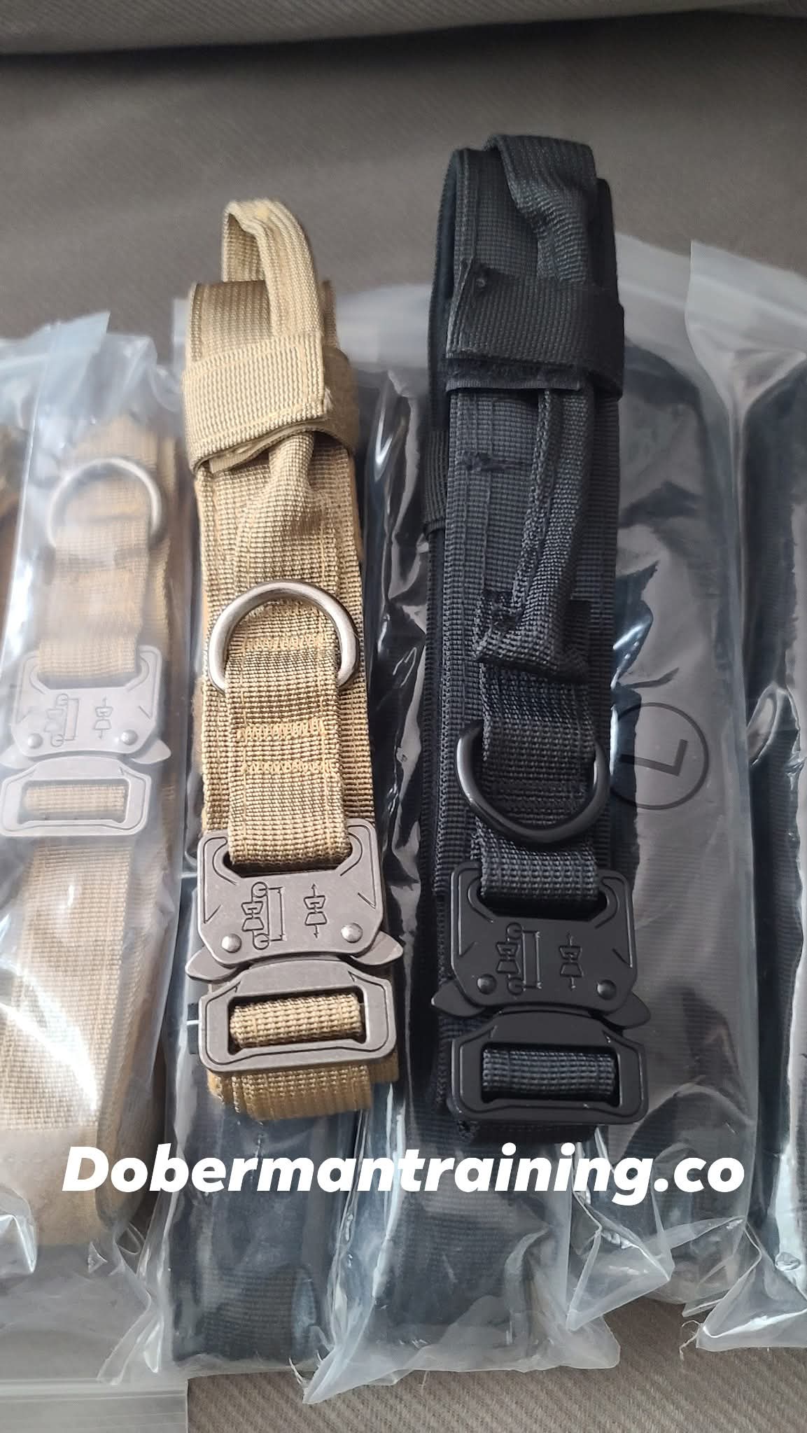 Tactical Collar, Audio Training Guides & Coaching Combo