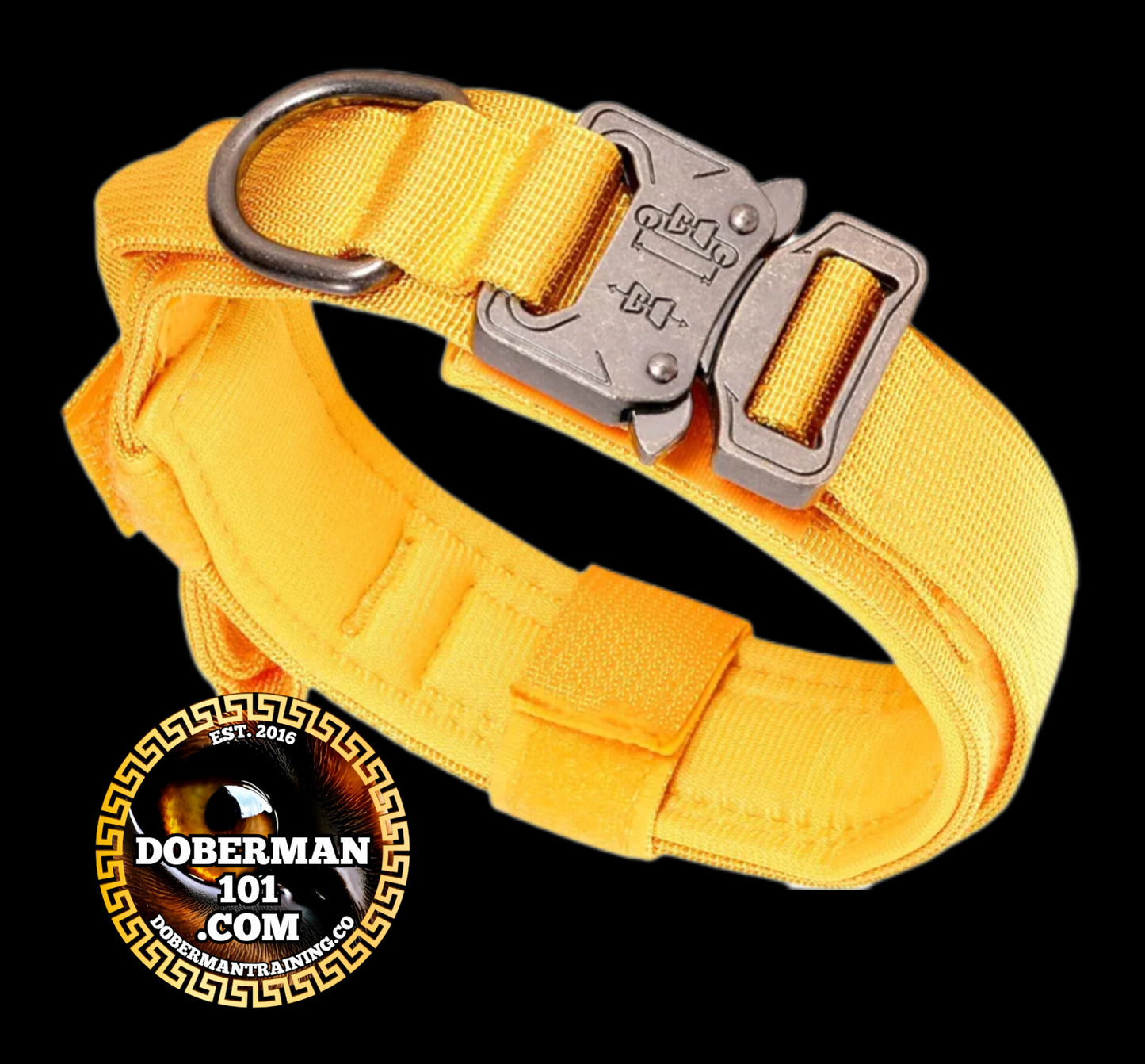 Tactical Collar, Audio Training Guides & Coaching Combo