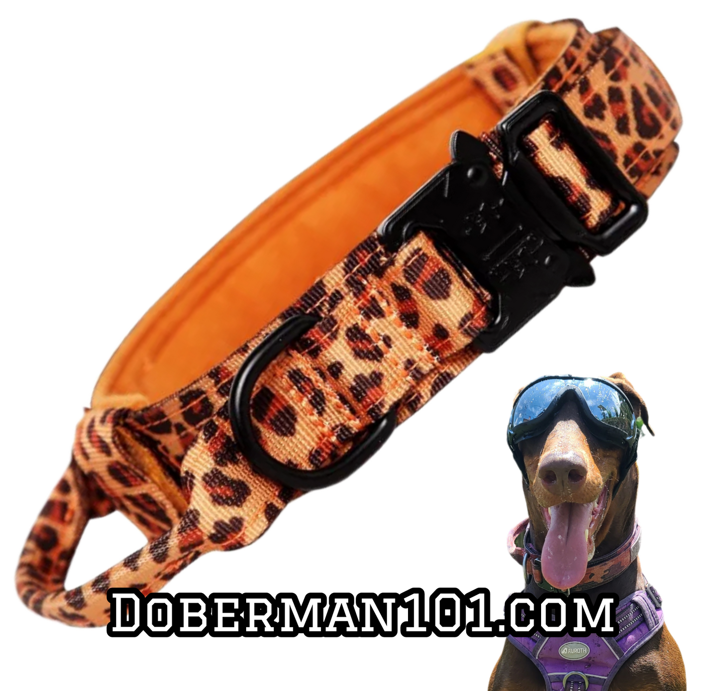 Tactical Collar
