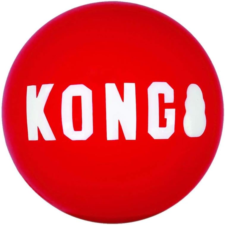 Kong, Audio Guides, 1 Month Coaching Pass Combo