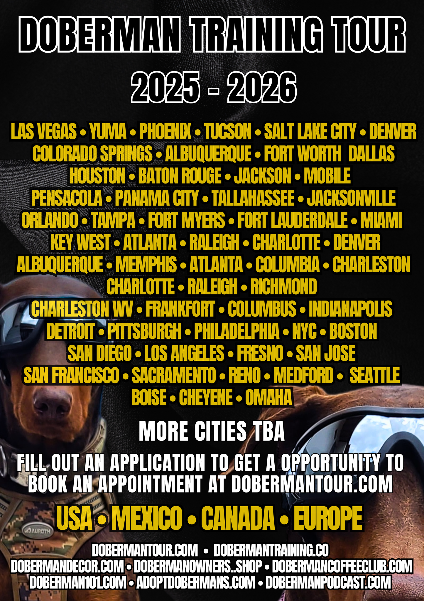 Albuquerque, New Mexico 11/9-11/11 Doberman Training Tour: In-Person Training & Online Coaching Program