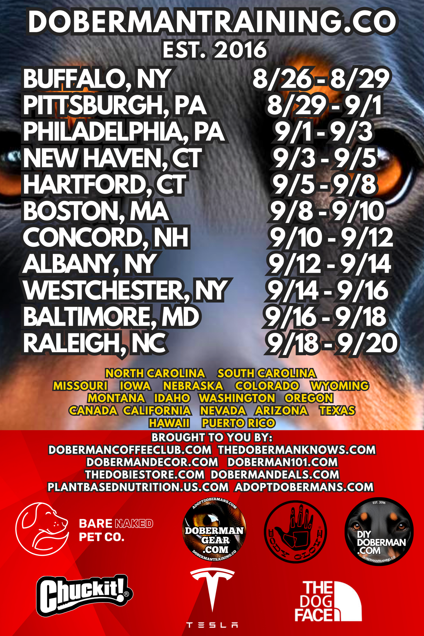 Albuquerque, New Mexico 11/9-11/11 Doberman Training Tour: In-Person Training & Online Coaching Program