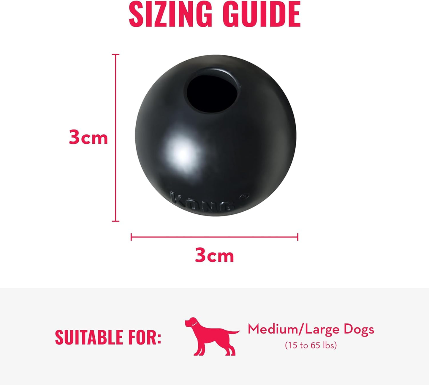 Kong, Audio Guides, 1 Month Coaching Pass Combo