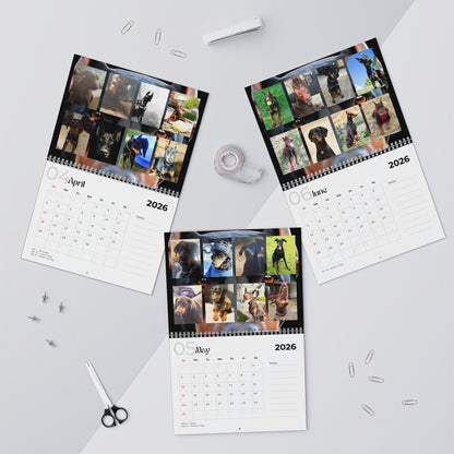 Edition 2 2026 Doberman Calendars