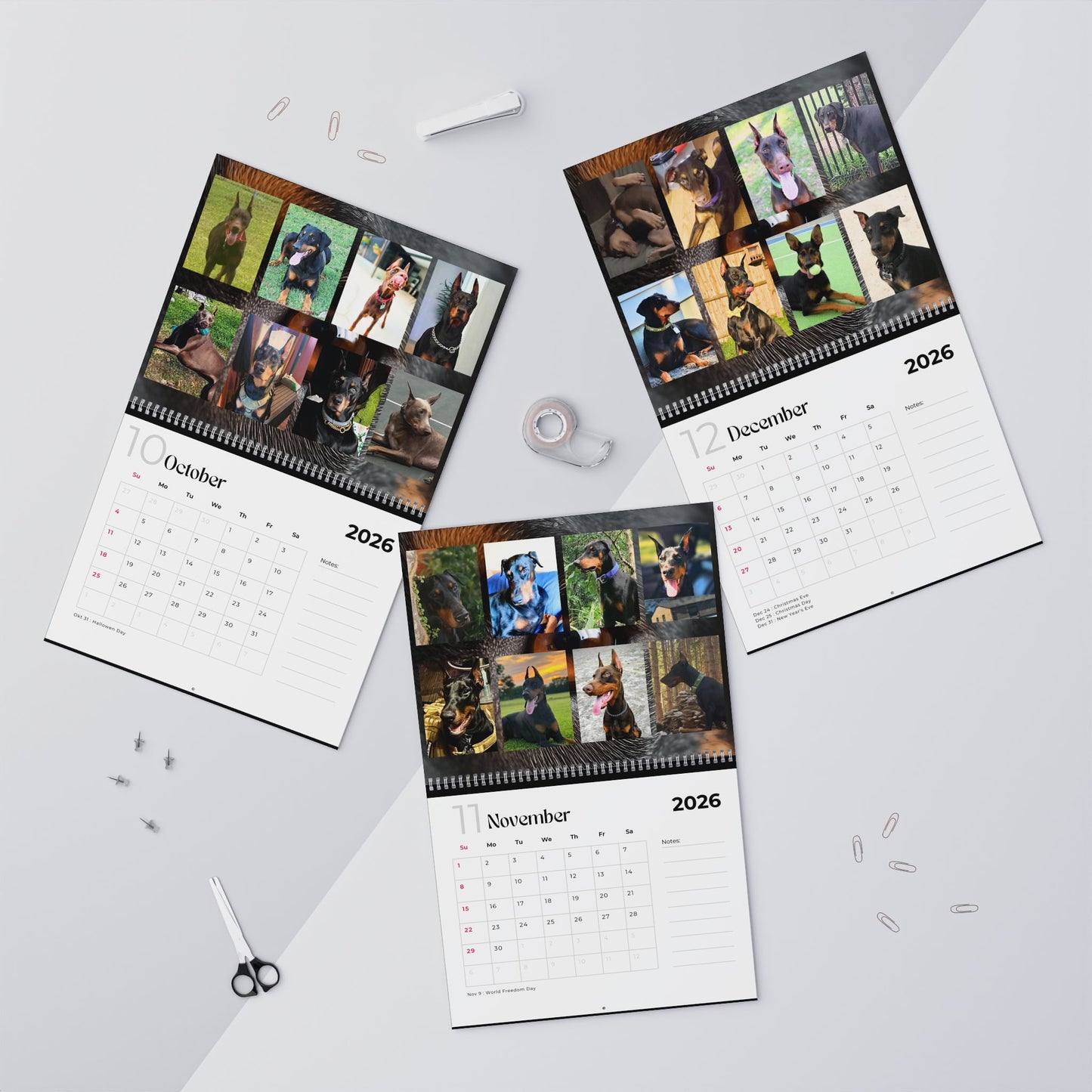Edition 3 2026 Doberman Calendars