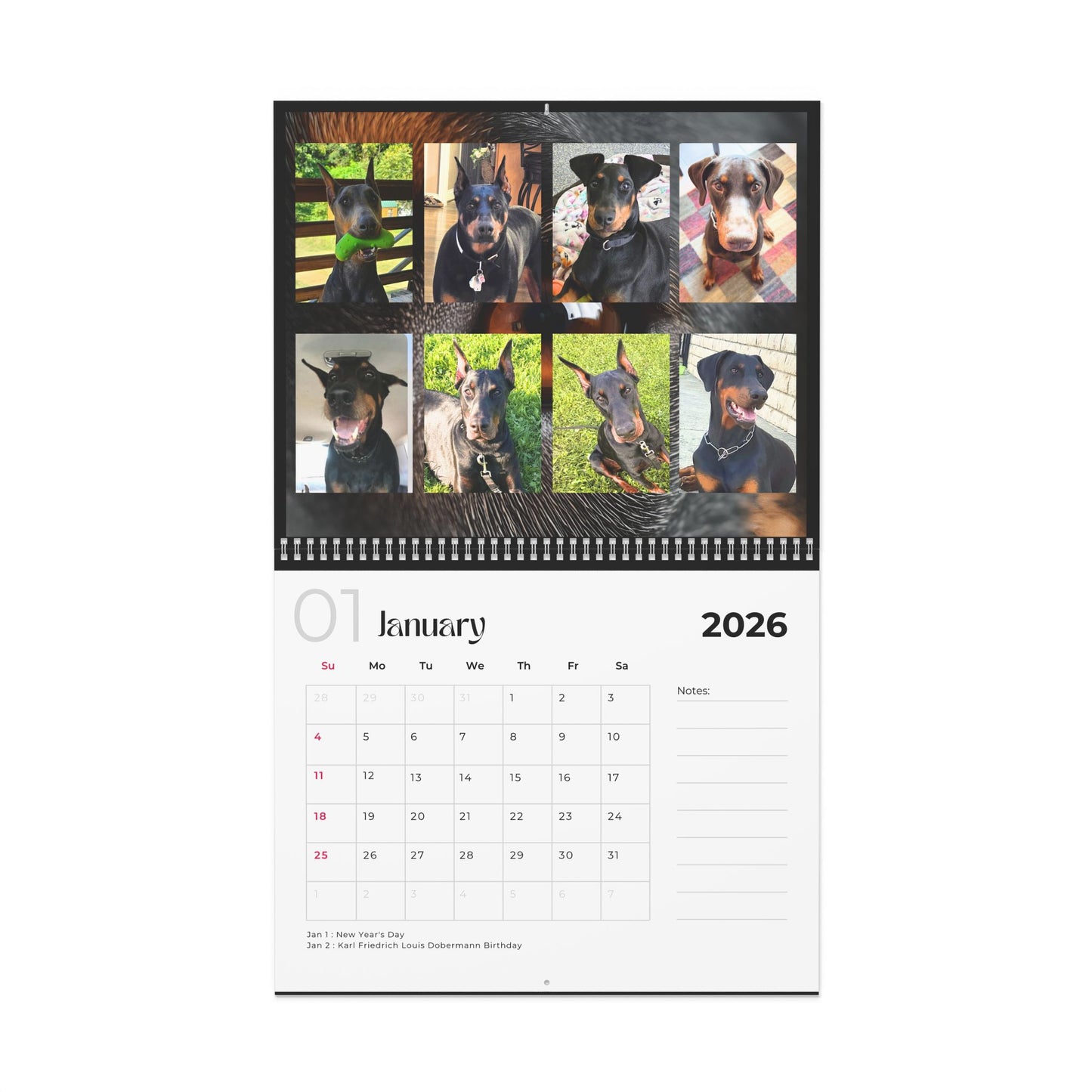 Edition 3 2026 Doberman Calendars