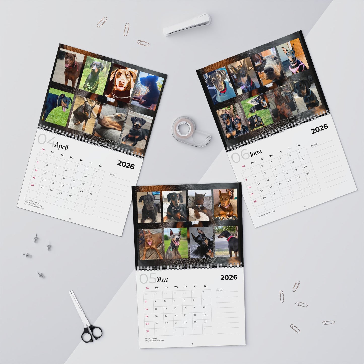 Edition 3 2026 Doberman Calendars
