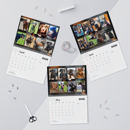 Edition 3 2026 Doberman Calendars