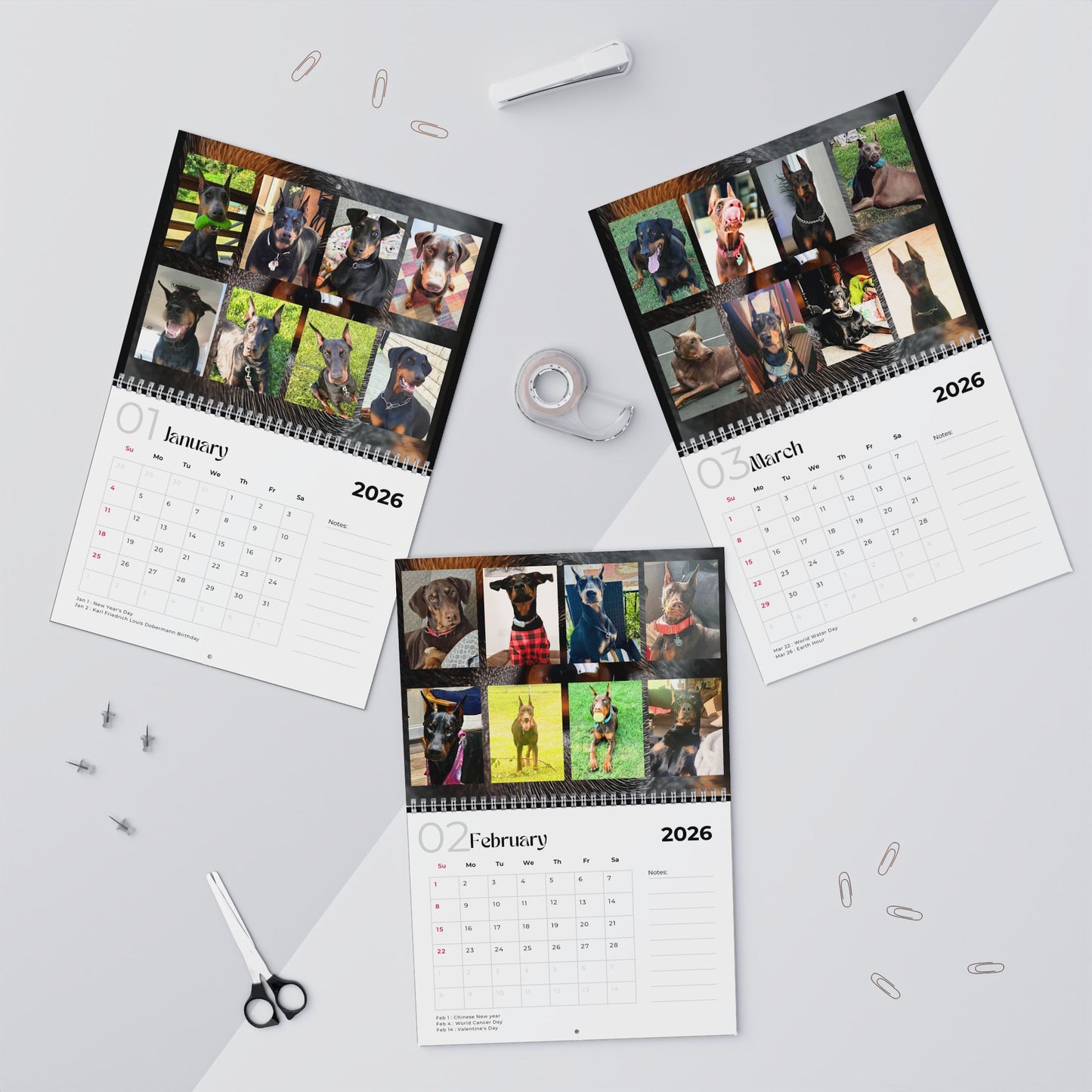 Edition 3 2026 Doberman Calendars