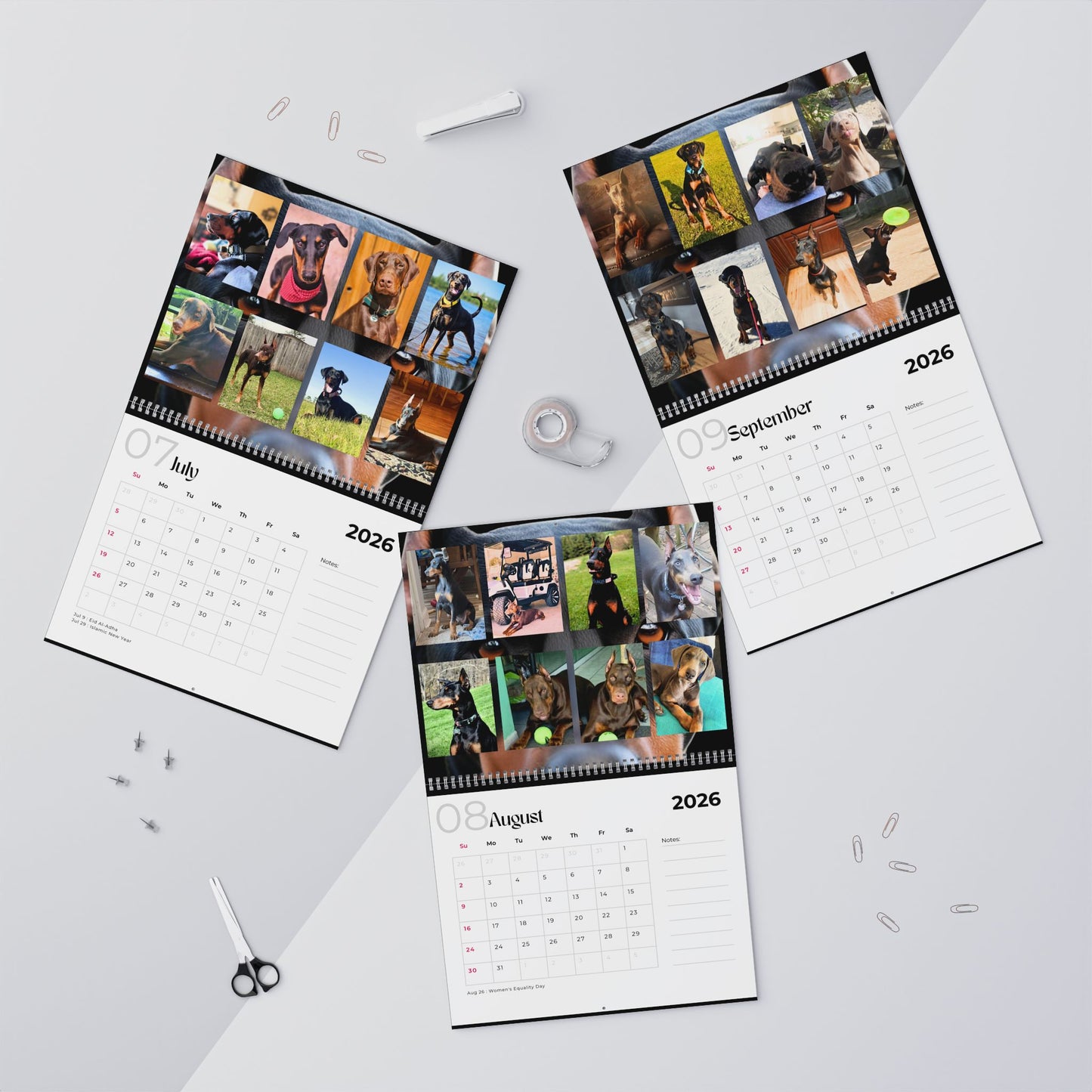 Edition 1 2026 Doberman Calendars