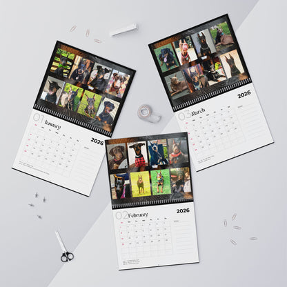 Edition 3 2026 Doberman Calendars
