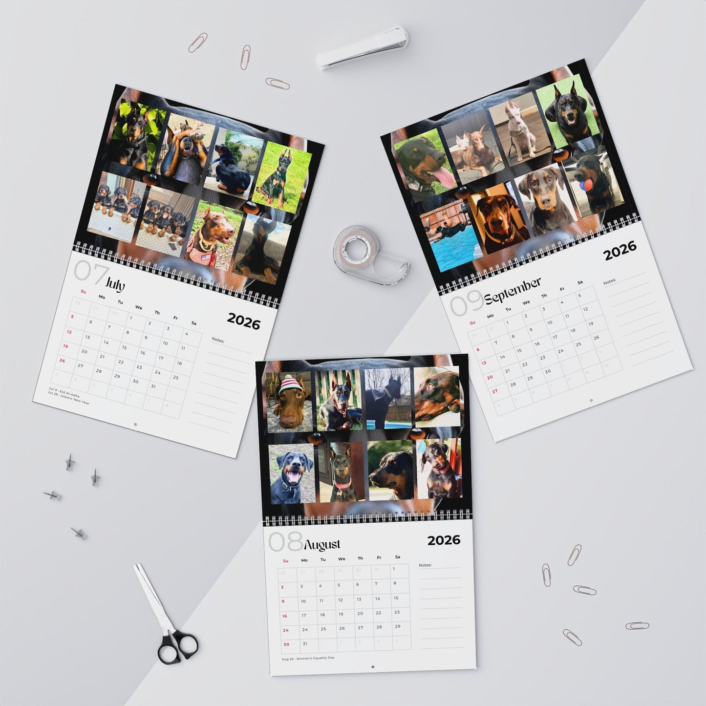 Edition 2 2026 Doberman Calendars