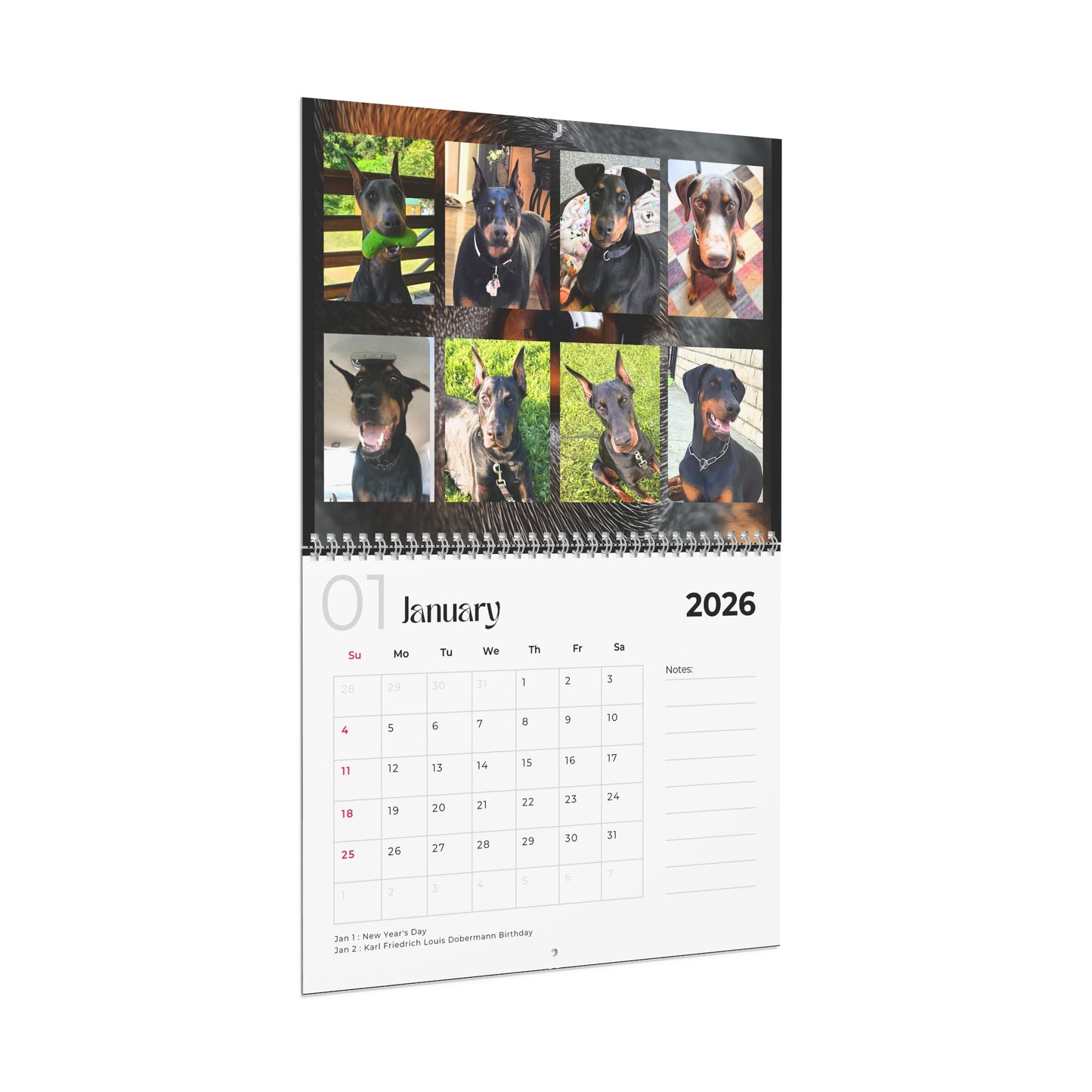 Edition 3 2026 Doberman Calendars