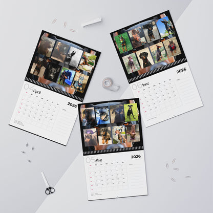 Edition 2 2026 Doberman Calendars