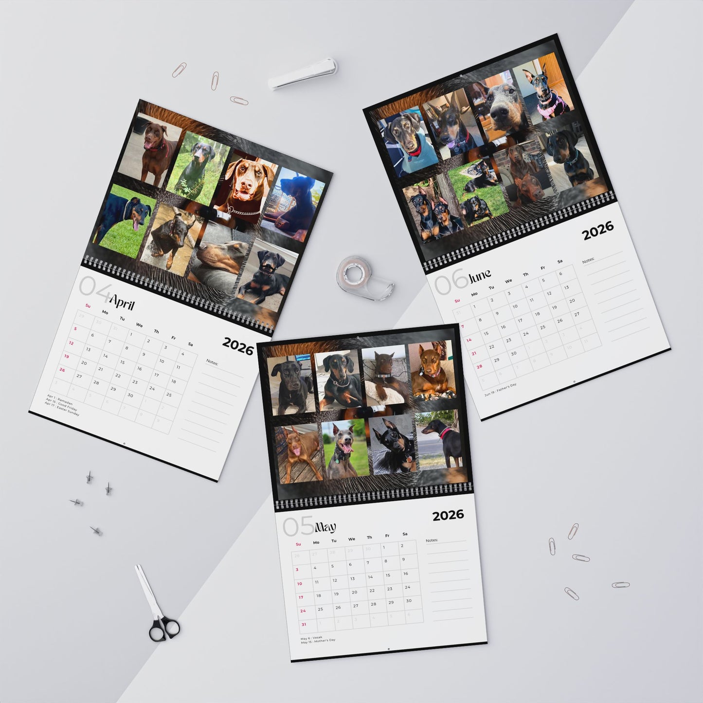 Edition 3 2026 Doberman Calendars