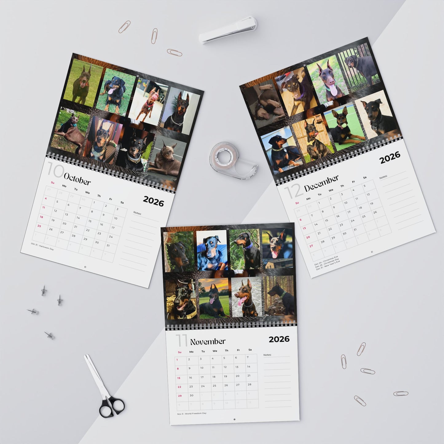 Edition 3 2026 Doberman Calendars