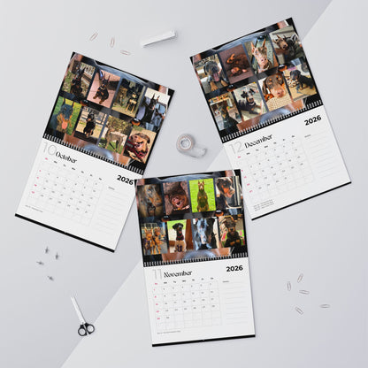 Edition 1 2026 Doberman Calendars